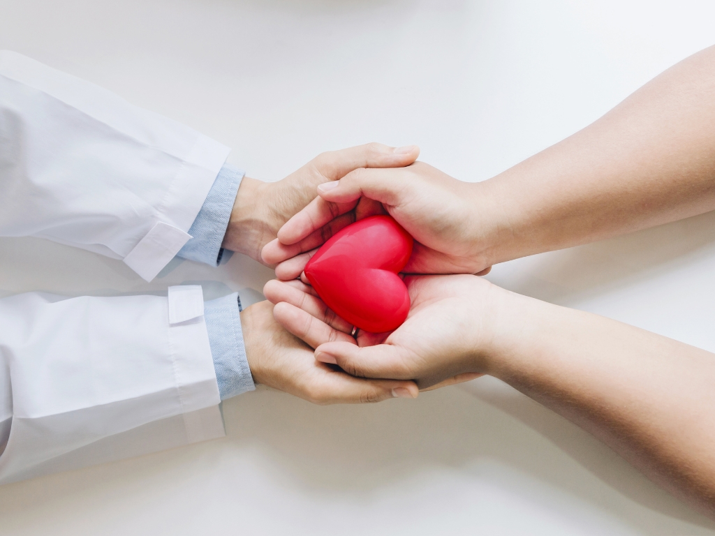 Manos de personas sostienen un corazón rojo