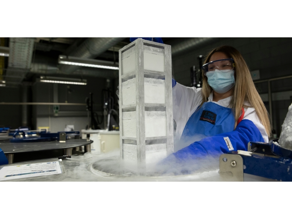 Biorreactores de un solo uso