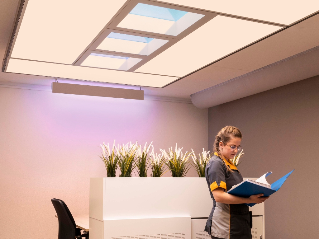 Iluminación biofílica