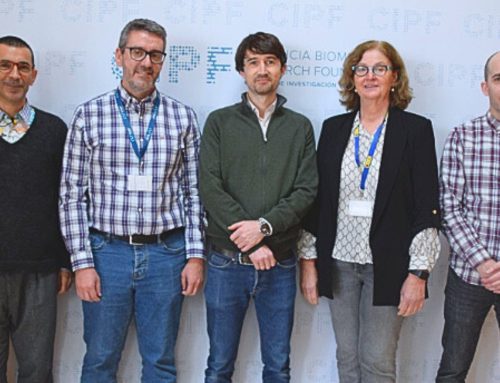 ISABIAL y el CIPF crean una nueva unidad de microscopía electrónica que permitirá realizar biopsias digitales 3D de alta resolución y precisión